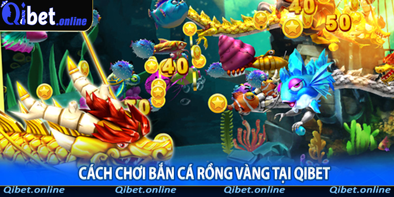 Cách chơi bắn cá Rồng Vàng tại QIbet
