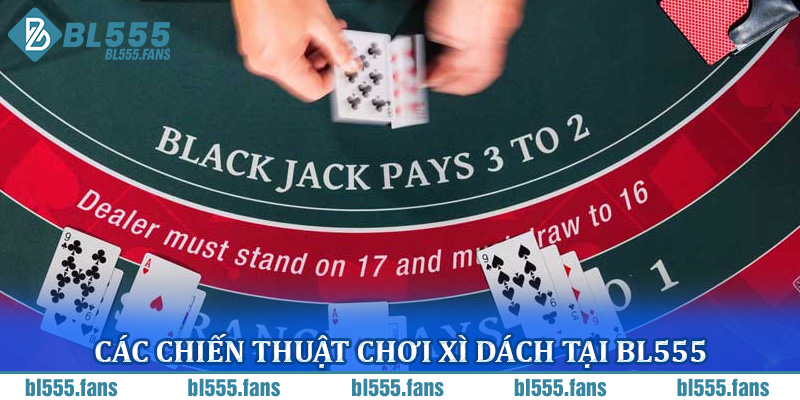 Các chiến thuật chơi xì dách tại BL555